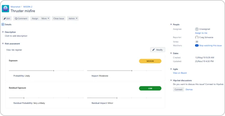 risk issue template screen shot